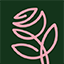 camellia.ua