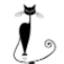 chatnoir.ro