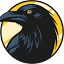 crowsnesttcg.com