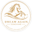 dreamagaincoaching.com