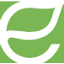 energyfocusinc.com