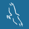grayhawk.com