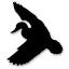 hubertus-fieldsports.de