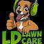 ldlawncarellc.com