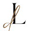 liquiadesign.com