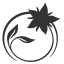 lizearle.com