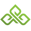 mymiracleleaf.com