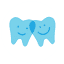 nofrillsdental.com