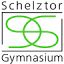 schelztor-gymnasium.de