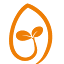 solidseeds.es