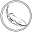 surf-skateboards.com