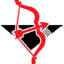 arrowsecurity.ug