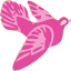 casatinas.com