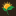 foodrising.org