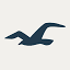 hollisterco.ca