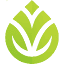 hpaindonesia.net
