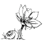 matnatmidbar.co.il