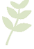 newleafcremation.com