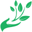 riversidevillagehealthcare.com