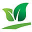 soellean.com