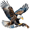 tiropratico.com