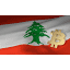 bitcoinslebanon.com