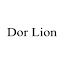 dor-lion.com