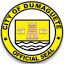 dumaguetecity.gov.ph