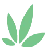 kushcartpdx.com