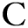 pienoviproperties.com
