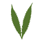 thegroveca.com