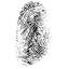 aalivescan.com