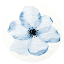 ashwinipaibahadur.com