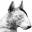 bullterrier.co.nz