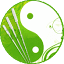 digizen-shiatsu.fr