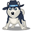 doggi.ru