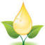 essentialsforlivingnw.com