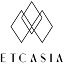 etcasiart.com