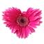 flowersbyjennifer.nl