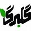golbargbox.com