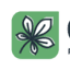 gruenau-wph.ch