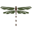 nasorpaleo.com