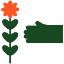 pembrokefarmersmarket.com