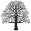 postoakmedia.net