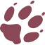 saskatoonzoosociety.ca
