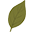 serendipitea.com