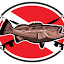 spearfishingworld.com