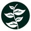 viveroharmony.com.co