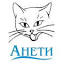 aneti.ru
