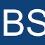 bresciaingol.com